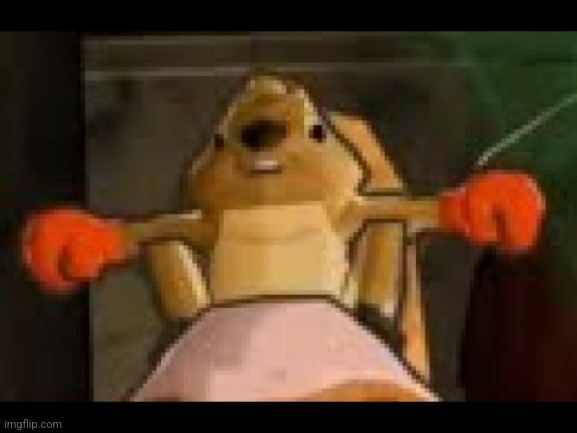 Squirel | made w/ Imgflip meme maker