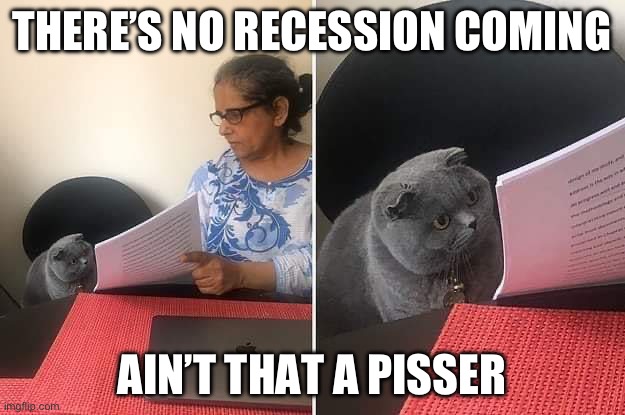 Cat reading | THERE’S NO RECESSION COMING; AIN’T THAT A PISSER | image tagged in cat reading | made w/ Imgflip meme maker