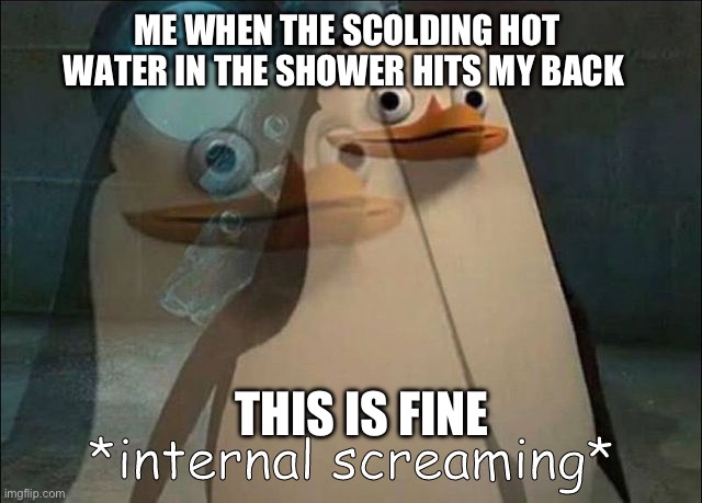 I turned the hot water all the way | ME WHEN THE SCOLDING HOT WATER IN THE SHOWER HITS MY BACK; THIS IS FINE | image tagged in funny | made w/ Imgflip meme maker