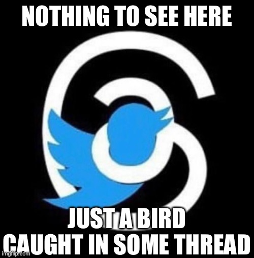 NOTHING TO SEE HERE; JUST A BIRD CAUGHT IN SOME THREAD | image tagged in memes,thread,twitter | made w/ Imgflip meme maker
