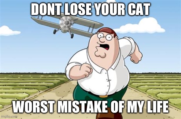 yeah I don’t wanna lose my cat | DONT LOSE YOUR CAT; WORST MISTAKE OF MY LIFE | image tagged in worst mistake of my life,memes,pets,imgflip community | made w/ Imgflip meme maker
