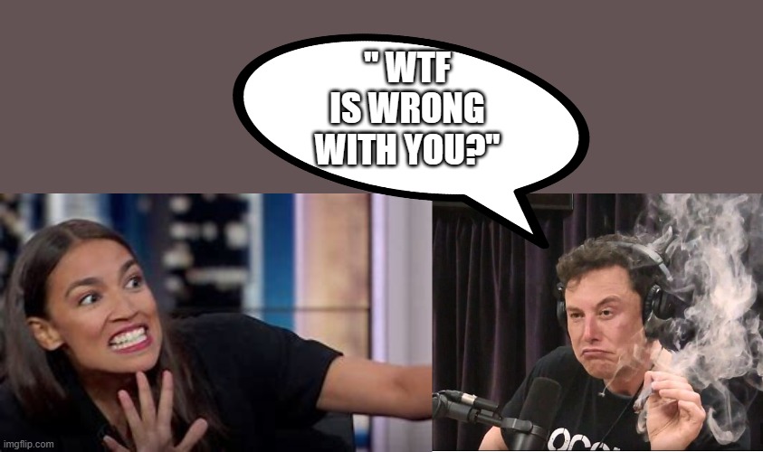 Shes a mess | " WTF IS WRONG WITH YOU?" | image tagged in elon musk smoking a joint,democrats,traitors | made w/ Imgflip meme maker