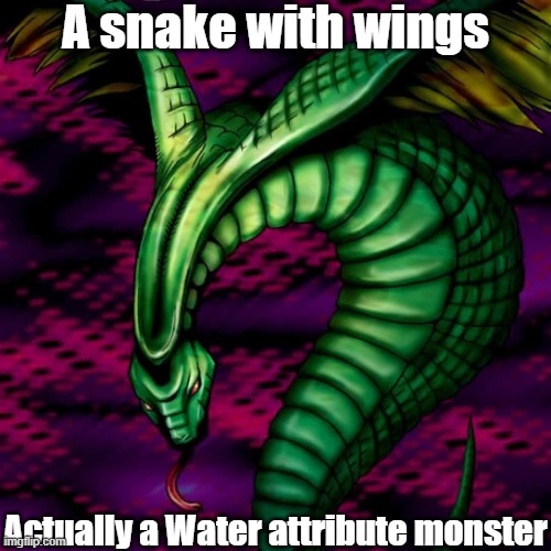 Misleading monster attribute 7 | A snake with wings; Actually a Water attribute monster | image tagged in yugioh | made w/ Imgflip meme maker