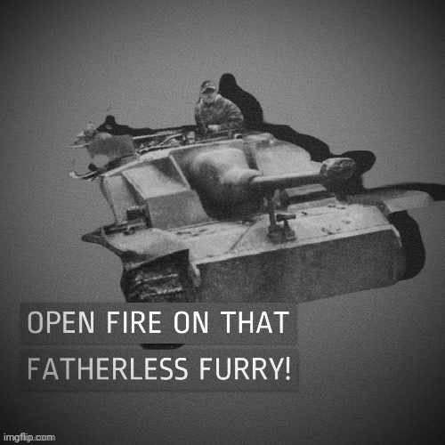 Anti-fur Stug (thx zero-two) | image tagged in anti-fur stug thx zero-two | made w/ Imgflip meme maker