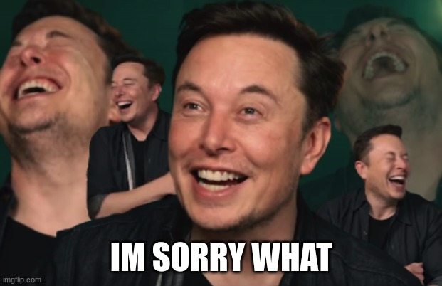 Elon Musk Laughing | IM SORRY WHAT | image tagged in elon musk laughing | made w/ Imgflip meme maker