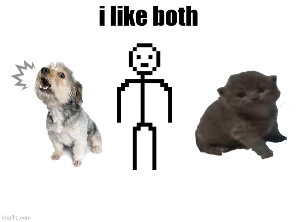 i like both | made w/ Imgflip meme maker