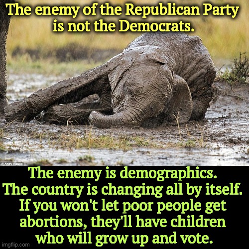 The Republican obsession with abortion will lead to more Democratic voters. Republicans never think these things through. | The enemy of the Republican Party 
is not the Democrats. The enemy is demographics. 
The country is changing all by itself. 
If you won't let poor people get 
abortions, they'll have children 
who will grow up and vote. | image tagged in republican party,dead,democrats,poor people,abortion,change | made w/ Imgflip meme maker