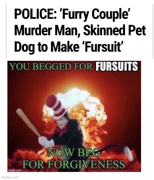 Avenge the dog, kill the furrys! | image tagged in dog,anti furry | made w/ Imgflip meme maker