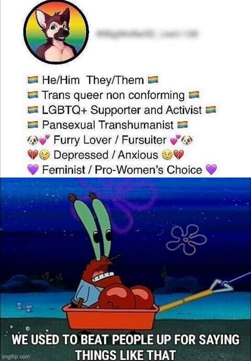 I‘ll take the hit from the post below | image tagged in mr krabs we used to beat people up for saying things like that | made w/ Imgflip meme maker
