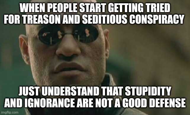Matrix Morpheus | WHEN PEOPLE START GETTING TRIED FOR TREASON AND SEDITIOUS CONSPIRACY; JUST UNDERSTAND THAT STUPIDITY AND IGNORANCE ARE NOT A GOOD DEFENSE | image tagged in memes,matrix morpheus | made w/ Imgflip meme maker