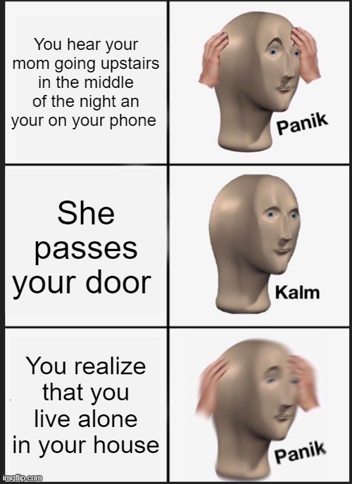 Who are you | You hear your mom going upstairs in the middle of the night an your on your phone; She passes your door; You realize that you live alone in your house | image tagged in memes,panik kalm panik | made w/ Imgflip meme maker