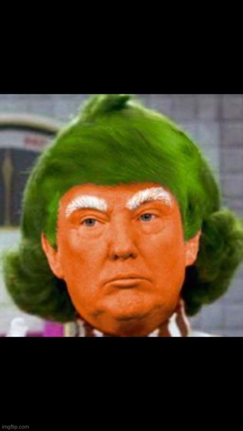 Orange Oompa Loompa | image tagged in orange oompa loompa | made w/ Imgflip meme maker
