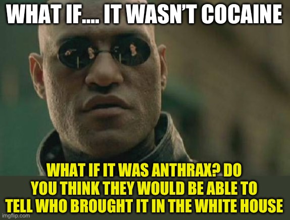 I call bullshit | WHAT IF…. IT WASN’T COCAINE; WHAT IF IT WAS ANTHRAX? DO YOU THINK THEY WOULD BE ABLE TO TELL WHO BROUGHT IT IN THE WHITE HOUSE | image tagged in memes,matrix morpheus,cocaine in the biden whitehouse,isnt that a coincidence | made w/ Imgflip meme maker