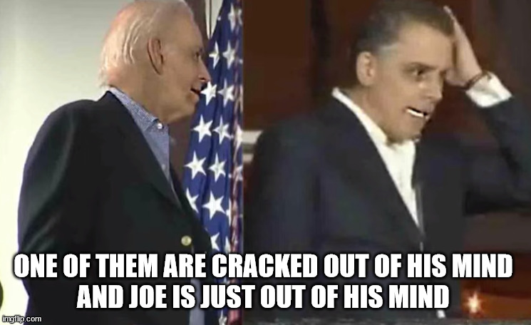 ONE OF THEM ARE CRACKED OUT OF HIS MIND 
AND JOE IS JUST OUT OF HIS MIND | image tagged in hunter on crack | made w/ Imgflip meme maker