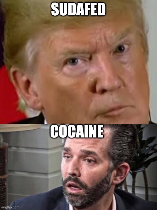 SUDAFED COCAINE | image tagged in trump eyes dilated,don trump jr coked up facing left | made w/ Imgflip meme maker