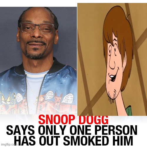 image tagged in snoop dogg,shaggy | made w/ Imgflip meme maker