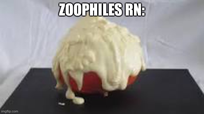 ZOOPHILES RN: | made w/ Imgflip meme maker