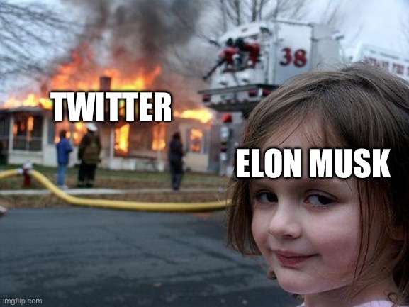 R.I.P. Twitter | TWITTER; ELON MUSK | image tagged in memes,disaster girl | made w/ Imgflip meme maker