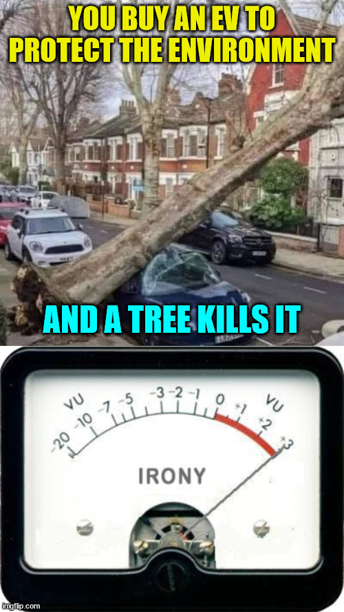 Electric vehicles damage the environment more than gas cars do... | YOU BUY AN EV TO PROTECT THE ENVIRONMENT; AND A TREE KILLS IT | image tagged in irony meter | made w/ Imgflip meme maker