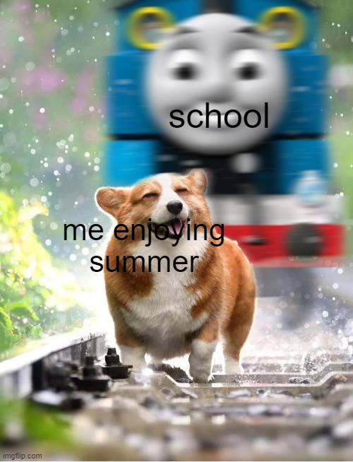 Dog about to get hit by Thomas the Train | school; me enjoying summer | image tagged in dog about to get hit by thomas the train,memes,funny,school,summer | made w/ Imgflip meme maker