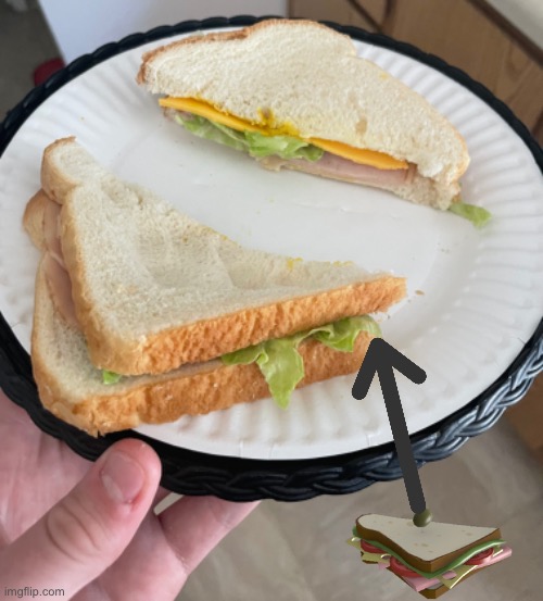 I made the sandvich from tf2 :) | image tagged in sandwich,tf2 | made w/ Imgflip meme maker