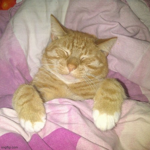 Eepy | image tagged in eepy | made w/ Imgflip meme maker