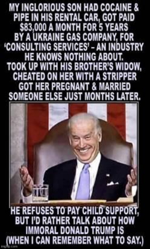 The trashy Bidens bringing back dignity and morality to the WH... LOL | image tagged in biden,crime,family | made w/ Imgflip meme maker