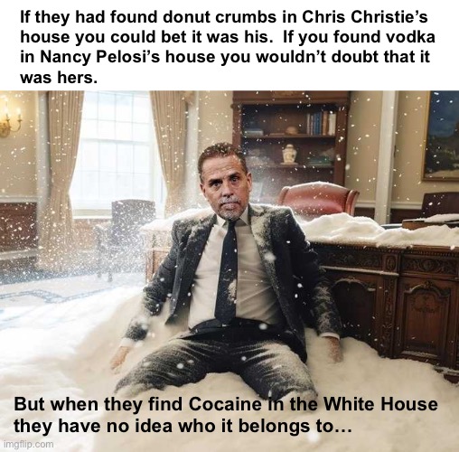 Secret Service and the Dept of Justice think that we believe the Keystone Cops routine | If they had found donut crumbs in Chris Christie’s 
house you could bet it was his.  If you found vodka 
in Nancy Pelosi’s house you wouldn’t doubt that it 
was hers. But when they find Cocaine in the White House
they have no idea who it belongs to… | image tagged in hunter biden | made w/ Imgflip meme maker