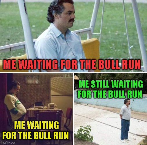 me waiting for the bull run | ME WAITING FOR THE BULL RUN; ME STILL WAITING FOR THE BULL RUN; ME WAITING FOR THE BULL RUN | image tagged in memes,cryptocurrency,hive,crypto,funny,lol | made w/ Imgflip meme maker