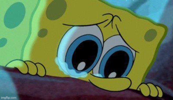 image tagged in crying spongebob | made w/ Imgflip meme maker