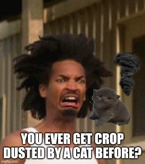 Disgusted Face | YOU EVER GET CROP DUSTED BY A CAT BEFORE? | image tagged in disgusted face | made w/ Imgflip meme maker