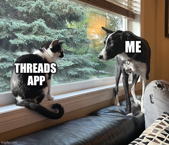 Threads App | ME; THREADS 
APP | image tagged in launch of threads social app,grumpy cat,cats and dogs living together,social media,funny dogs,memes | made w/ Imgflip meme maker