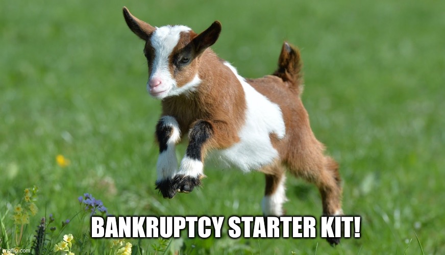 cute baby goat | BANKRUPTCY STARTER KIT! | image tagged in cute baby goat | made w/ Imgflip meme maker