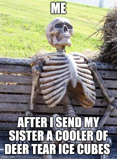 Deer tear ice cubes | ME; AFTER I SEND MY SISTER A COOLER OF DEER TEAR ICE CUBES | image tagged in memes,waiting skeleton | made w/ Imgflip meme maker