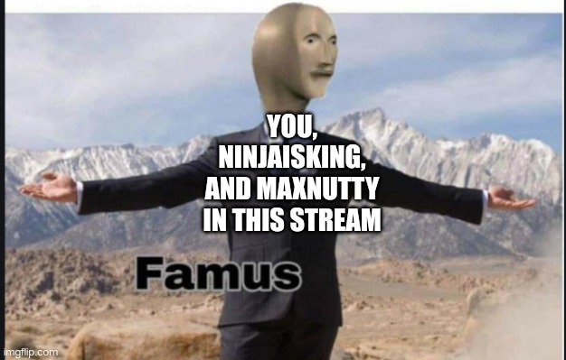 Stonks famus | YOU, NINJAISKING, AND MAXNUTTY IN THIS STREAM | image tagged in stonks famus | made w/ Imgflip meme maker