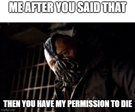 Then you have my permission to die | ME AFTER YOU SAID THAT THEN YOU HAVE MY PERMISSION TO DIE | image tagged in then you have my permission to die | made w/ Imgflip meme maker
