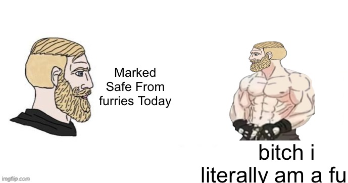 Thank you for saving my life | Marked Safe From furries Today bitch i literally am a furry | image tagged in thank you for saving my life | made w/ Imgflip meme maker