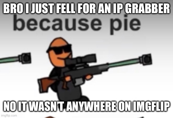 pie | BRO I JUST FELL FOR AN IP GRABBER; NO IT WASN’T ANYWHERE ON IMGFLIP | image tagged in pie | made w/ Imgflip meme maker