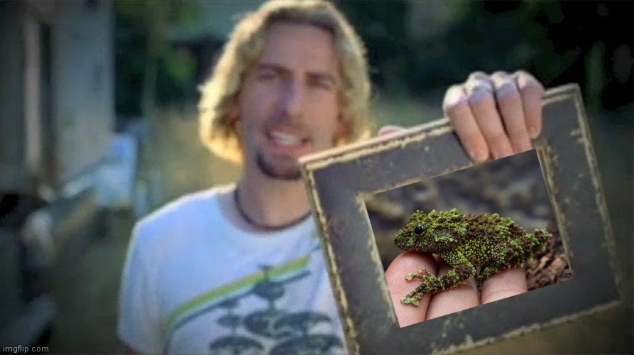 Look At This Photograph | image tagged in look at this photograph | made w/ Imgflip meme maker