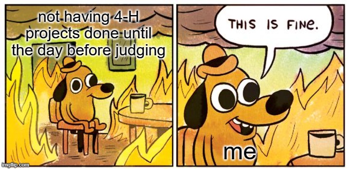 This Is Fine | not having 4-H projects done until the day before judging; me | image tagged in memes,this is fine | made w/ Imgflip meme maker