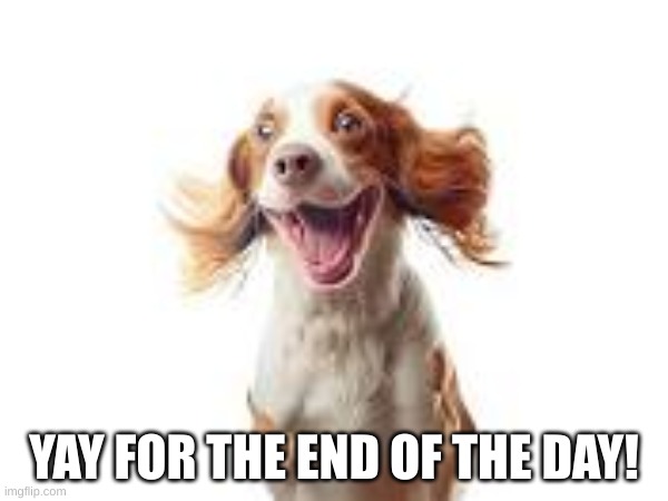 End of the day meme | YAY FOR THE END OF THE DAY! | image tagged in memes | made w/ Imgflip meme maker