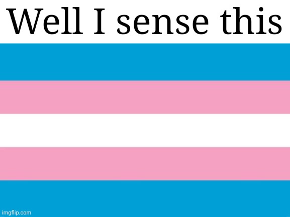 Transgender Flag | Well I sense this | image tagged in transgender flag | made w/ Imgflip meme maker