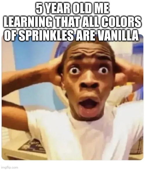 Nooo | 5 YEAR OLD ME LEARNING THAT ALL COLORS OF SPRINKLES ARE VANILLA | image tagged in black guy suprised | made w/ Imgflip meme maker
