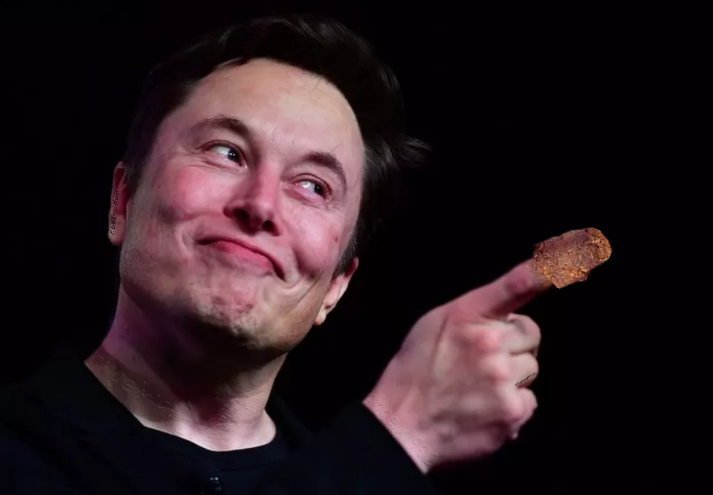 elon musk Blank Meme Template