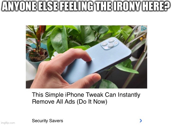 ANYONE ELSE FEELING THE IRONY HERE? | image tagged in idiots | made w/ Imgflip meme maker