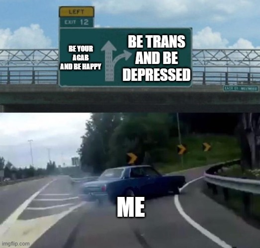 Swerving Car | BE YOUR AGAB AND BE HAPPY; BE TRANS AND BE DEPRESSED; ME | image tagged in swerving car | made w/ Imgflip meme maker