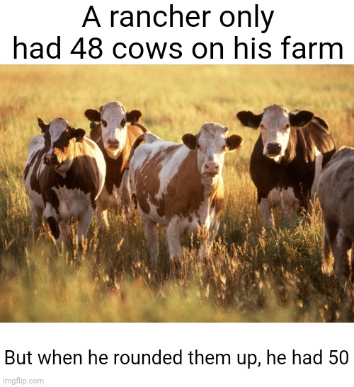 Meme #2,436 | A rancher only had 48 cows on his farm; But when he rounded them up, he had 50 | image tagged in memes,jokes,cows,numbers,funny,round | made w/ Imgflip meme maker