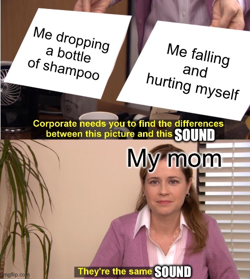 It actually just happened earlier | Me dropping a bottle of shampoo; Me falling and hurting myself; SOUND; My mom; SOUND | image tagged in memes,they're the same picture,relatable | made w/ Imgflip meme maker
