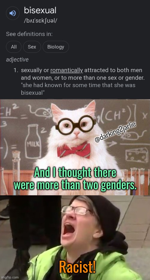 Bi | @darking2jarlie; And I thought there were more than two genders. Racist! | image tagged in science cat,screaming liberal,bisexual,gender identity,gender confusion | made w/ Imgflip meme maker