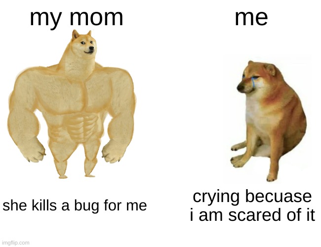 this is everyones childhood | my mom; me; she kills a bug for me; crying becuase i am scared of it | image tagged in memes,buff doge vs cheems | made w/ Imgflip meme maker